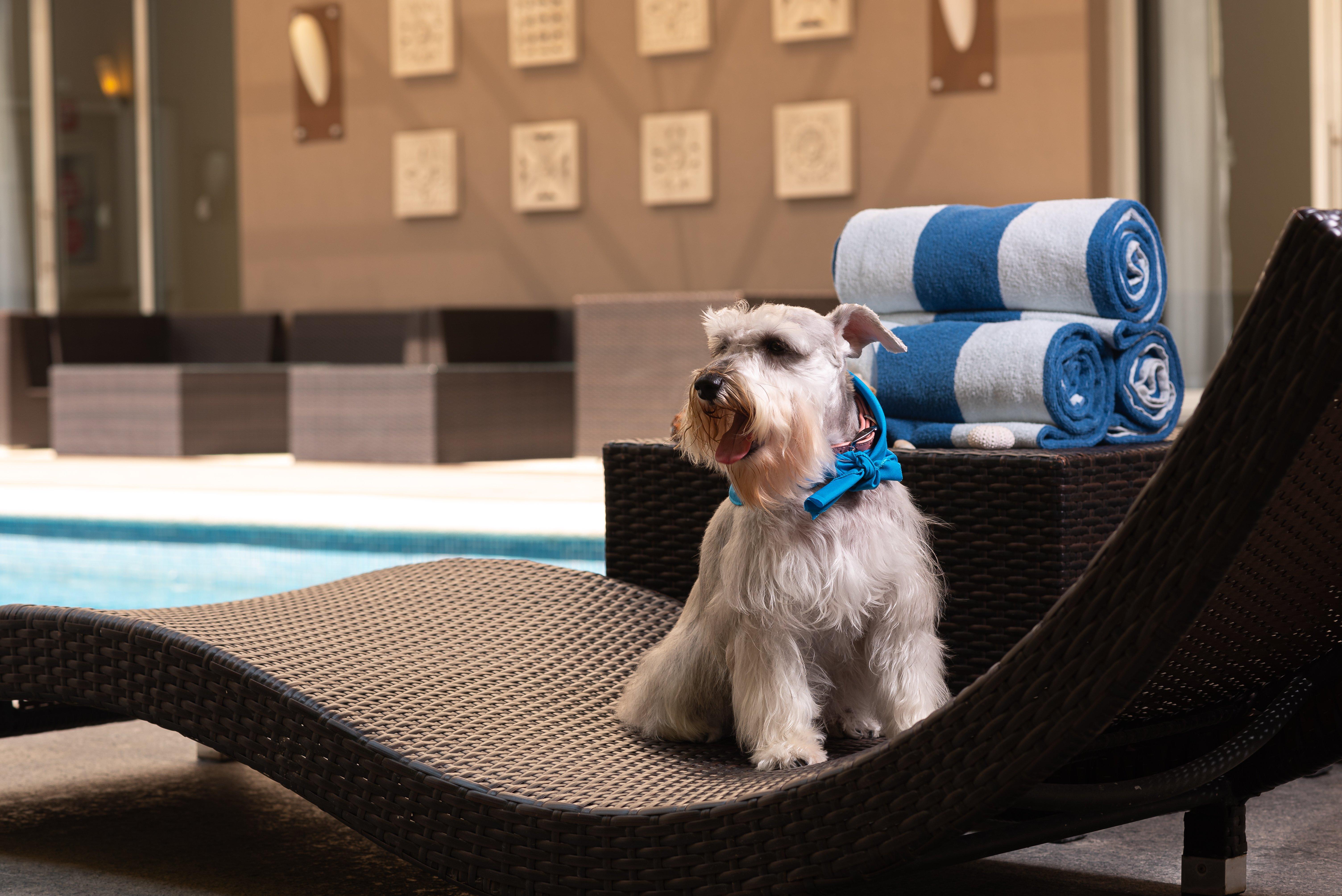 Hampton By Hilton Veracruz Boca Del Rio Ngoại thất bức ảnh